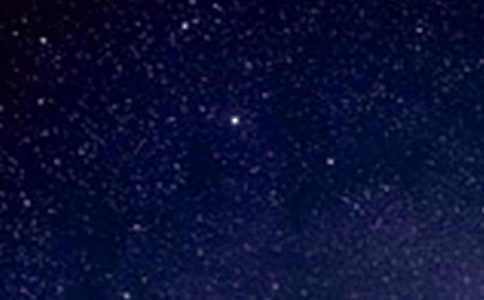 ����ĊW������