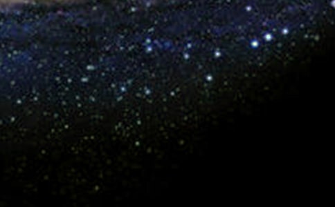 �w����������