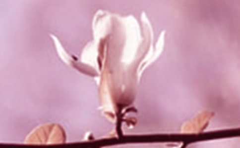 ���m������