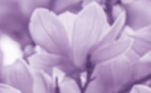 ���m�����B(y��ng)ֳ����