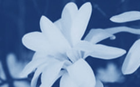 ���؂䡿���m������14ƪ