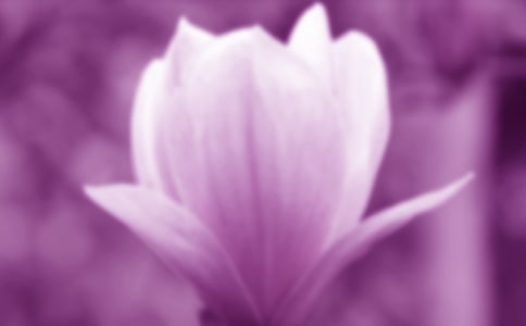 �茑���m���ă�(y��u)������110��