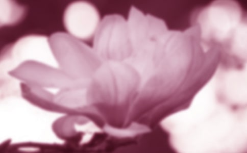 ٝ�����m����Ԋ��