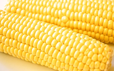 �����x������������17ƪ