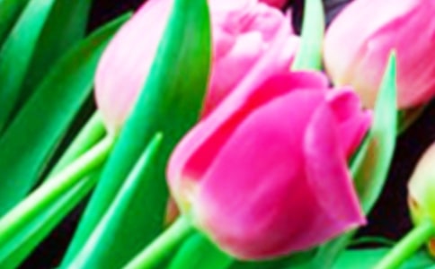 ����(sh��)�ã�����������