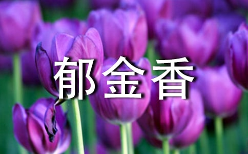 【推薦】郁金香作文15篇