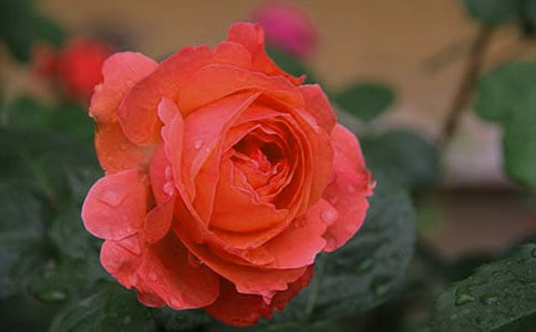 �Ҽҵ��¼�����