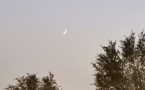 ҹ������������7ƪ