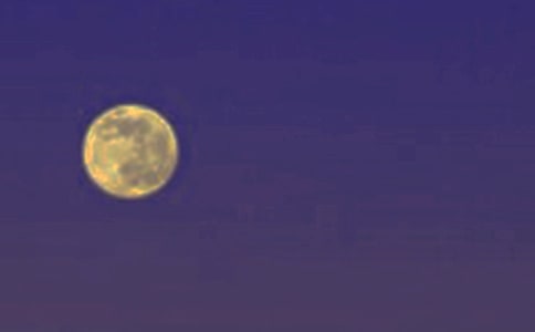 �����A�r(sh��)����