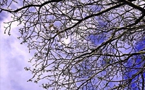 簡(jiǎn)潔的每日一簽早安微信問候語37句