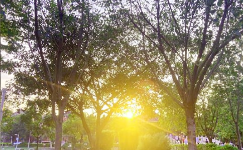 �����]��2023�����õ��簲ף���Z���źϼ�44�l