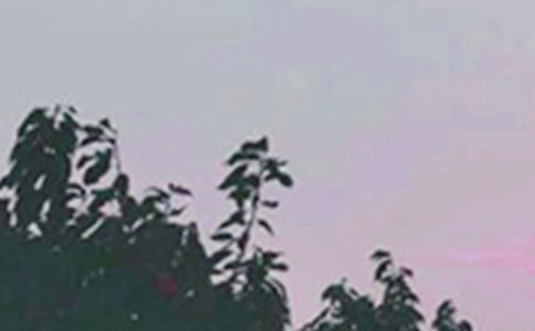 ����(sh��)�á�2023�����õ��簲ף���Z(y��)���Ŵ󼯺�50��