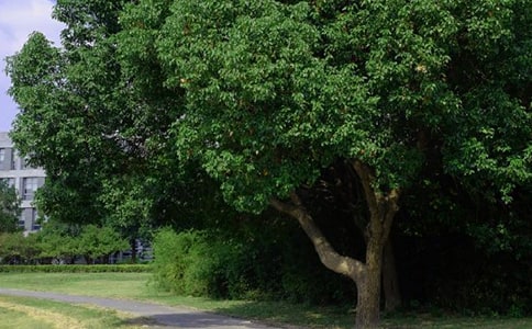 ��(ji��n)���Ĝ�ů���簲���Z(y��)����57��