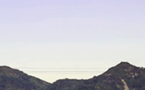 通用唯美的早安問候語短信匯編31句