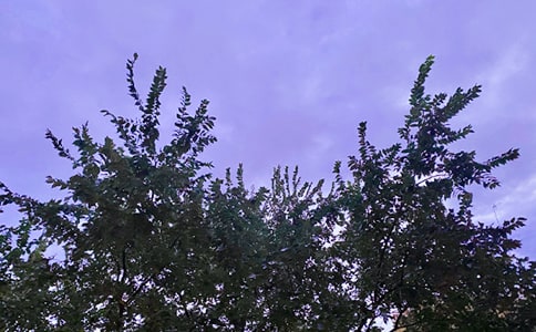 簡潔的治愈系早安問候語短信19句