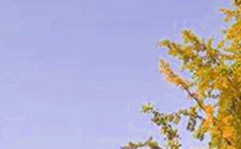 ����(sh��)�á�2025���(d��ng)�˵��簲���Z(y��)����24��