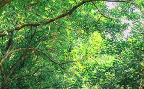 2026��Ψ�����簲�����Z����30��