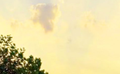 經(jīng)典美好的早安祝福語(yǔ)短信摘錄49條