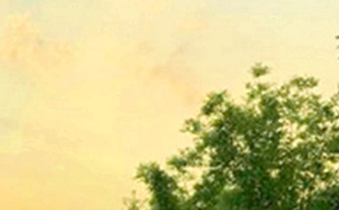 經(jīng)典暖心早安簽名匯總100句