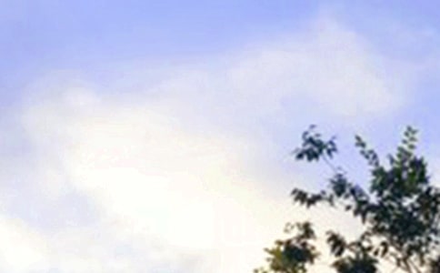 �l(f��)�oŮ���ѵ��簲����