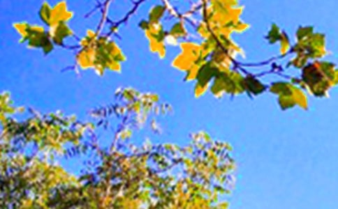 ���Ä�(l��)־�簲���Ŵ�ȫ��ͨ��120�䣩