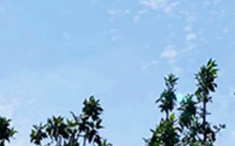 祝好心情的早安問候語短信48條