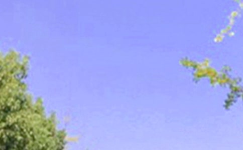 簡單的治愈系早安問候語短信合集65句