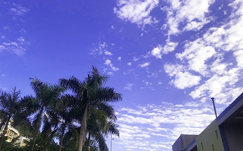 ����(sh��)�á�2023�����õ��簲ף���Z����ժ�46�l