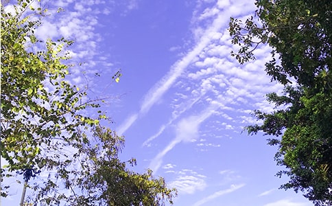 �P(gu��n)���簲���Ӿ��x15ƪ