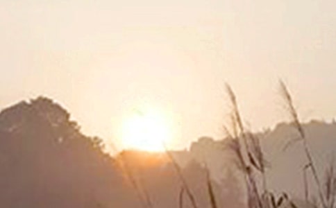 ���P(gu��n)���õ��簲ף���Z���źϼ�52��