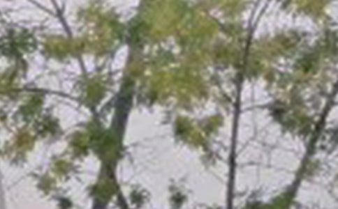 ���Â�(g��)���簲�f(shu��)�f(shu��)��ͨ��40�䣩