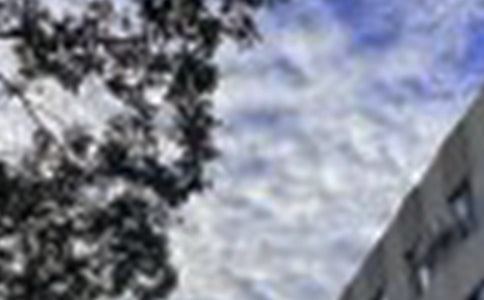 2020ȫ�µ�����Ȧ�簲����