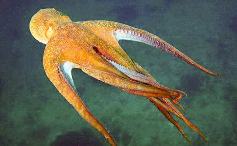 �����~��������