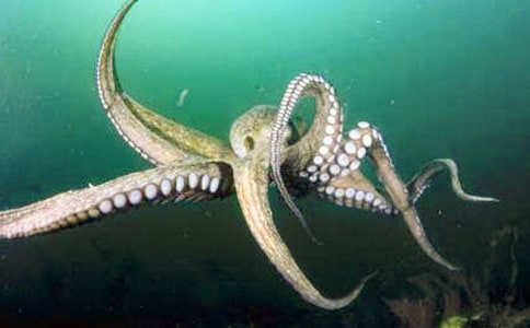 Ů�˳����~(y��)�ĺ�̎