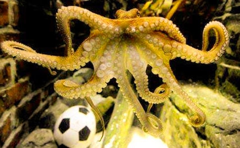 ���~С��������