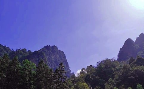 ���˵ď��ҽ����ģ���(y��u)��11ƪ��
