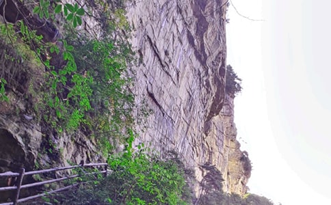 ���˵ď��ҽ�����(��)