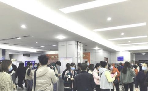 ������Ƹ������