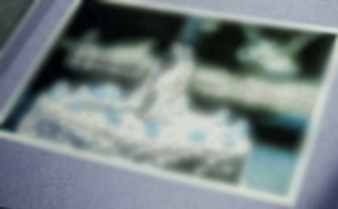 一張珍貴的照片作文【精品】