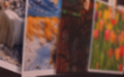 (優(yōu)秀)老照片的故事作文10篇