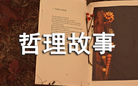 哲理故事欣賞--驚鳥與貓