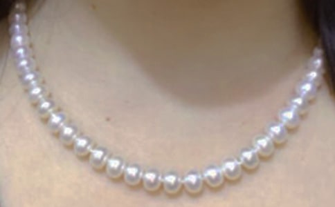 �茑�����~�Z(y��)