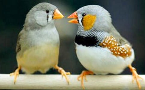 �������B����˼14ƪ[��(j��ng)��]