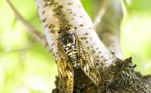 �P(gu��n)��֪�ˌW(xu��)�w������