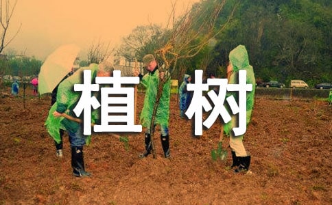 關于植樹造林的諺語