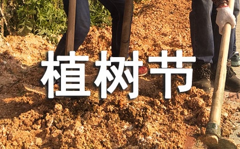 植樹(shù)節(jié)演講稿范文(精選13篇)