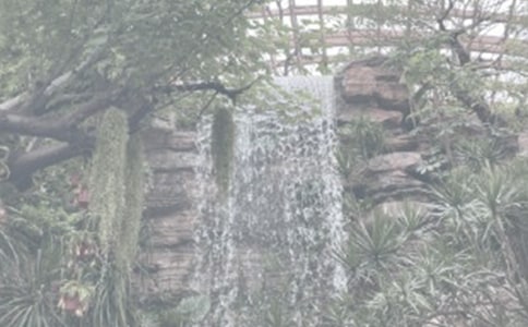 ֲ��@�^���