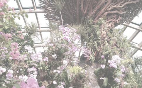 ����������ֲ��@