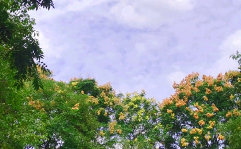 �ڄ�(d��ng)������Ҏ(gu��)��������͵�Ҏ(gu��)������