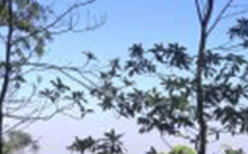 �������������Ć�